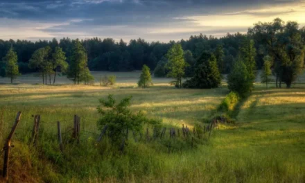 Które skanseny na Mazowszu warto zobaczyć?