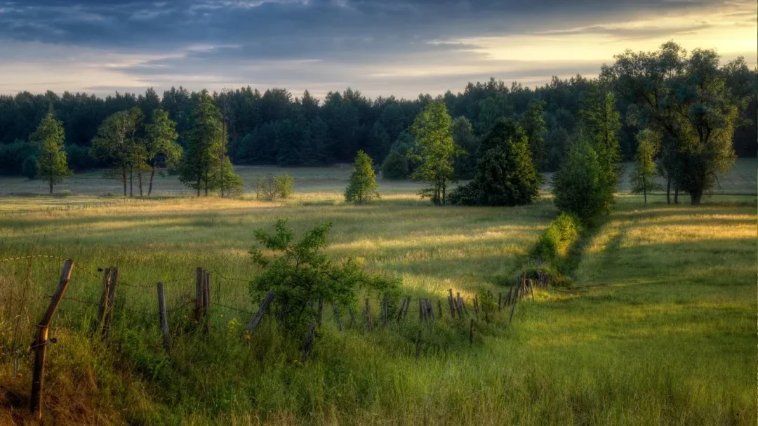 Które skanseny na Mazowszu warto zobaczyć?