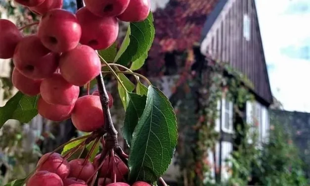 Jak zwiedzać muzea z dzieckiem i nie zwariować? 7 najlepszych sposobów