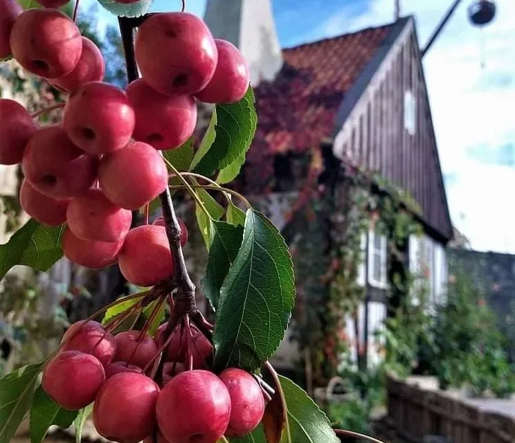 Jak zwiedzać muzea z dzieckiem i nie zwariować? 7 najlepszych sposobów