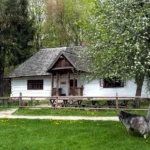 Co warto zwiedzić w Lublinie? Cebularz, Czarcia Łapa i inne niespodzianki jakie kryją lubelskie muzea