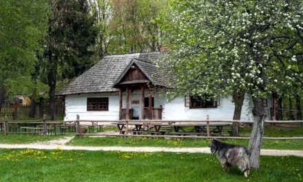 Co warto zwiedzić w Lublinie? Cebularz, Czarcia Łapa i inne niespodzianki jakie kryją lubelskie muzea